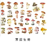 60PCS Mushroom Laptop Stickers Decals, Doraking DIY Mushroom Plants Decoration Stickers Decals for Windows, Refrigerator, Decoration (Mushroom Collection, 60PCS/Pack)