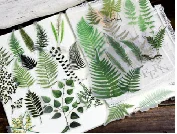 65PCS Plants Scrapbook Stickers, DIY Decoration Transparent Sulfuric Paper Green Plants for Scrapbook, No-Repeat