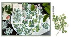 60pcs Scrapbooking Stickers, Doraking DIY Decorative Green Plants Set Stickers for Laptop Envelop Scrapbook Notebook Luggage Glasses (Plants Map)
