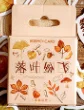 Small Size Fall Scrapbooking Laptop Stickers, 46pcs Doraking Boxed DIY Decoration Autumn Leaves Stickers for Laptop, Planners, Scrapbook, Suitcase, Diary, Notebooks, Album(Falling Leaves, 46pcs/ Box)