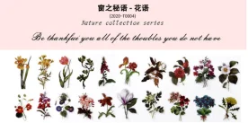 Vintage Flowers Plants Stickers - Doraking 40PCS Peel-Off DIY Decoration PET Paper Flowers and Plants Scrapbook Stickers for Scrapbook (Flower Collection)